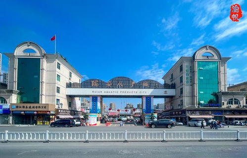 探訪溫州網(wǎng)紅市場 瑞安水產(chǎn)城——水產(chǎn)品琳瑯滿目，價廉物美與網(wǎng)站建設助力體驗升級